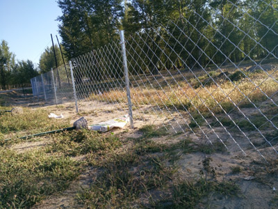 內蒙奈曼旗十個全覆蓋項目 內蒙奈曼旗十個全覆蓋項目